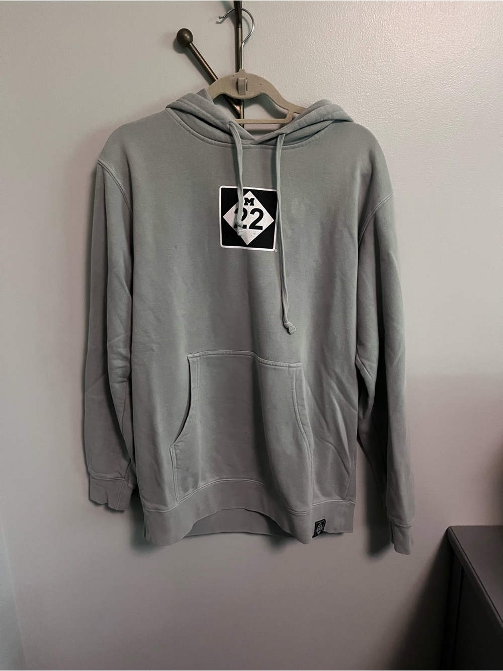 M22 Men's Sage Green Pullover Hoodie